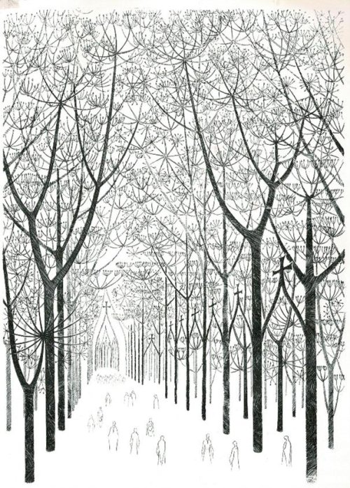 Allée dans une forêt d'arbres aux troncs très fins et verticaux.